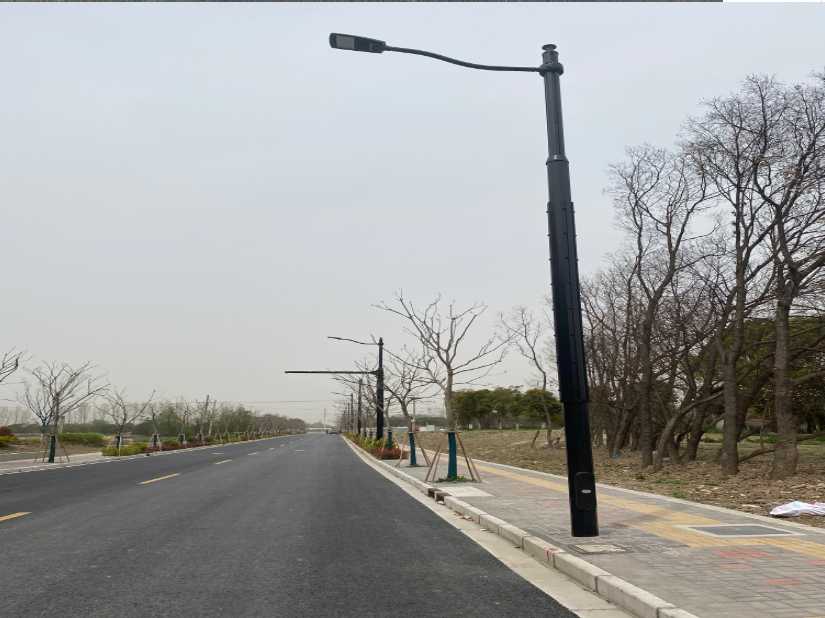 靖宇县上海综合杆 太阳能路灯工程